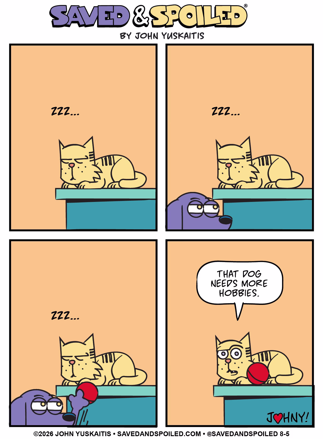 Dewey the cat sleeps on top of a table.